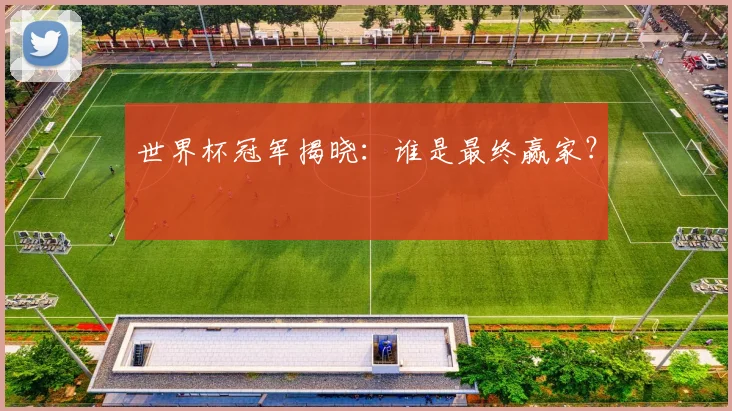 世界杯冠军揭晓：谁是最终赢家？