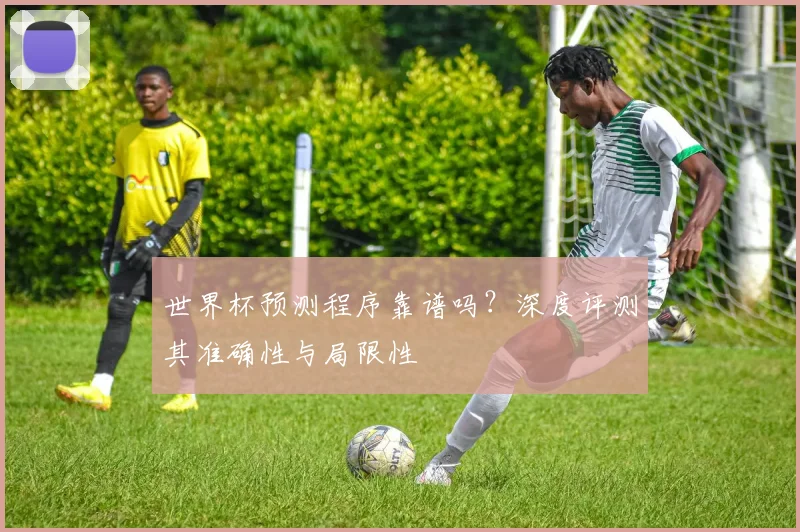 世界杯预测程序靠谱吗？深度评测其准确性与局限性